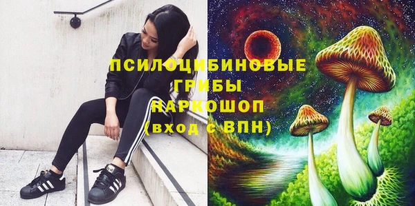 кокс Алзамай