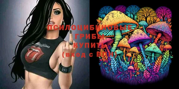 ALPHA-PVP Алексеевка
