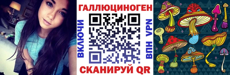 Купить закладки  Апатиты  Галлюциногенные грибы GOLDEN TEACHER 